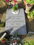 image of grave number 875759